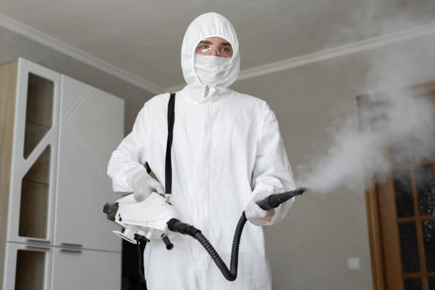 Why You Should Choose Our Mold Remediation Services in Mehlville, MO