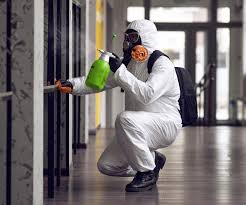 Mold Remediation for Rental Properties in Mehlville, MO